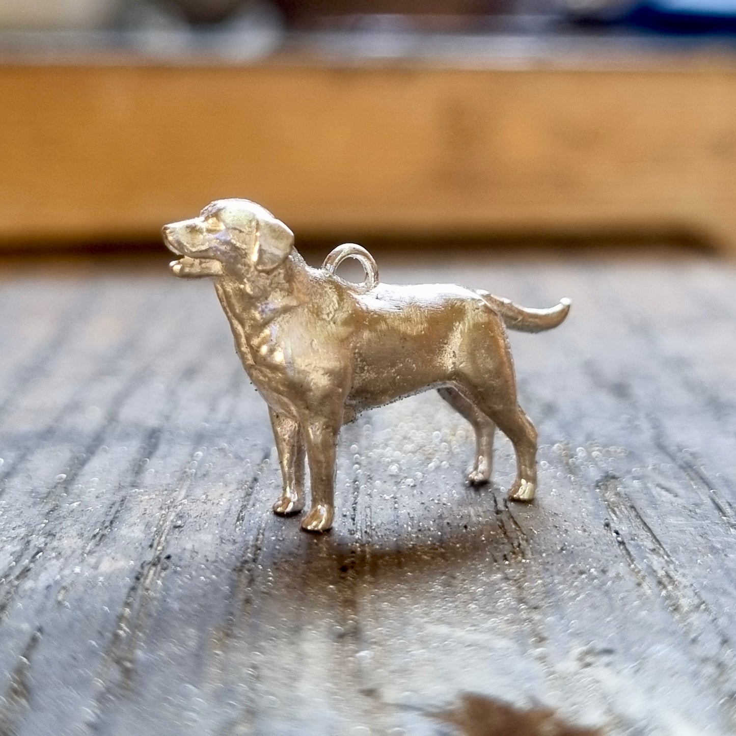 Labrador -silver necklace offer