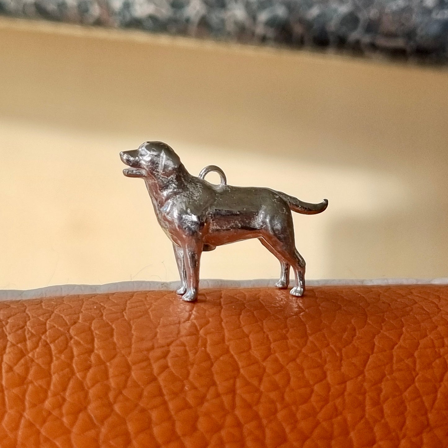 Labrador -silver necklace offer