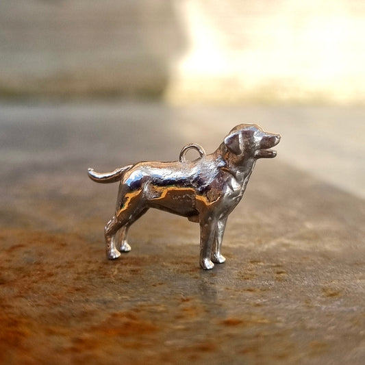 Labrador -silver necklace offer