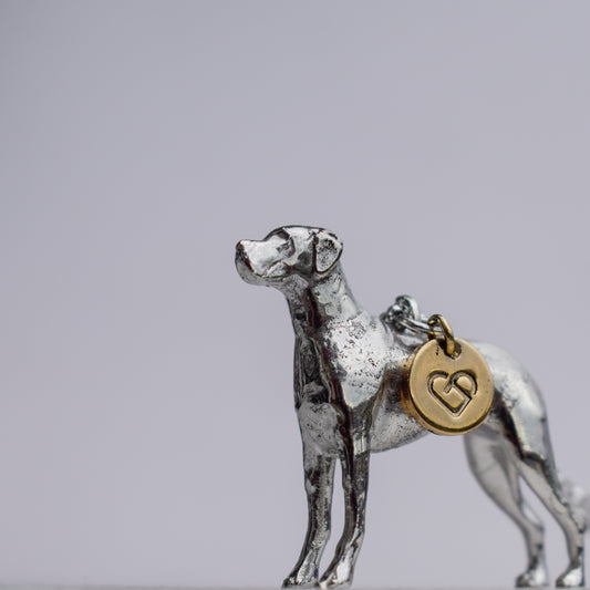 Personalise your pet in solid silver