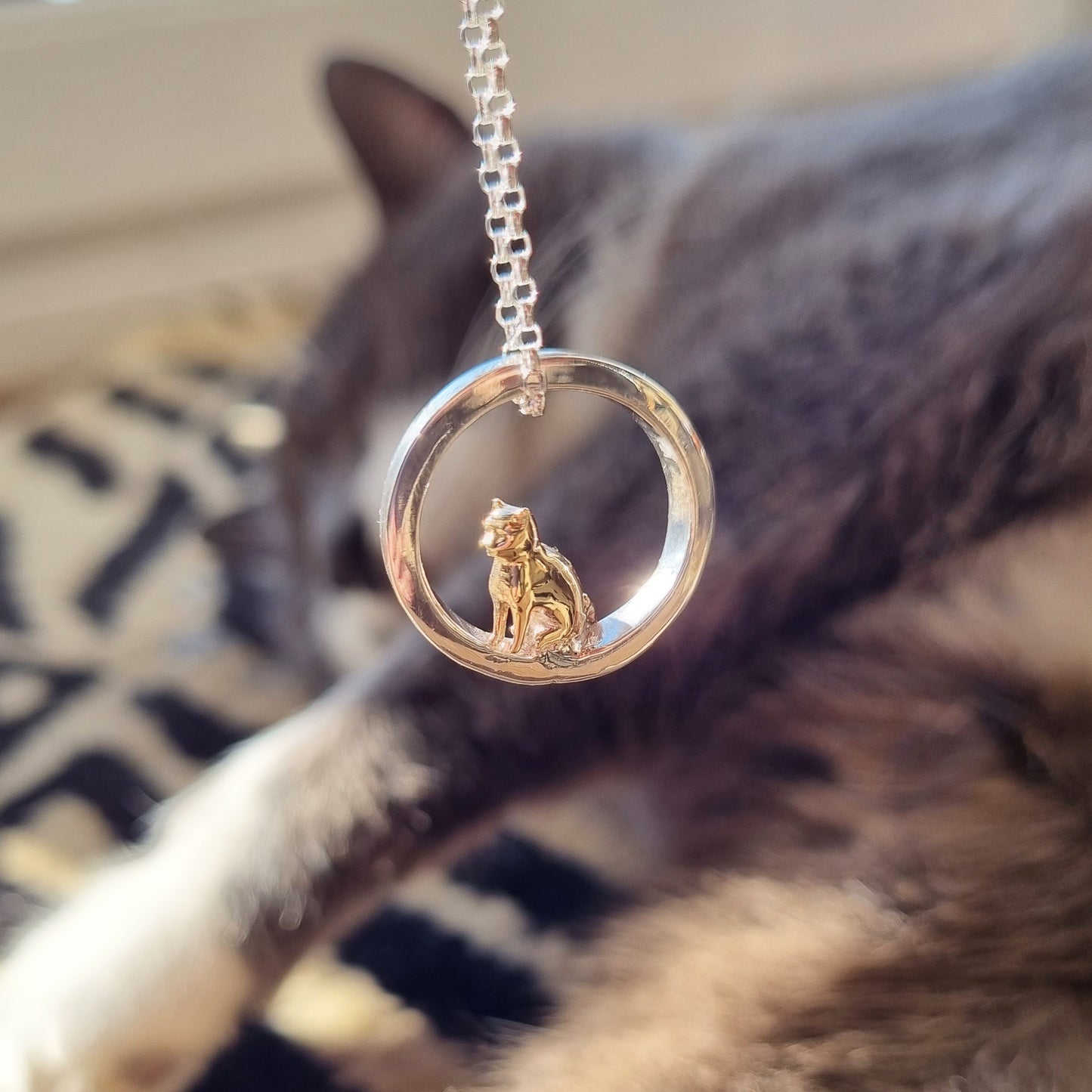 Teeny tiny gold cat peeping out of silver halo