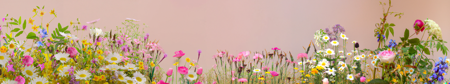 Wildflower Meadow by Gina Pattison
